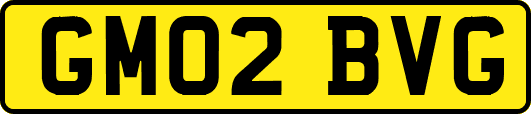 GM02BVG