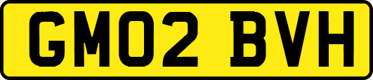GM02BVH