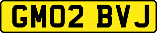 GM02BVJ