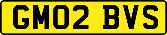 GM02BVS