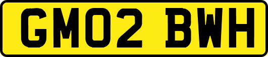 GM02BWH