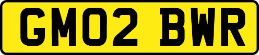 GM02BWR