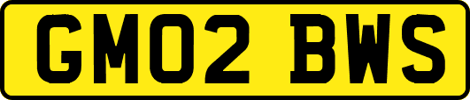 GM02BWS