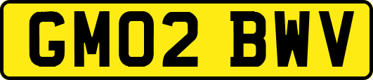 GM02BWV