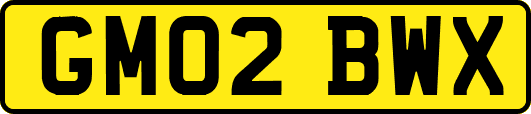 GM02BWX