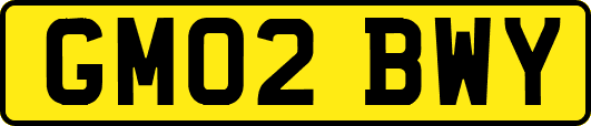 GM02BWY