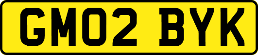 GM02BYK