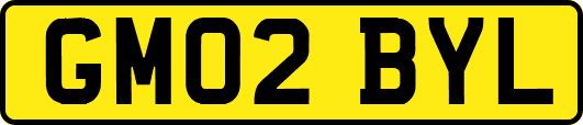 GM02BYL
