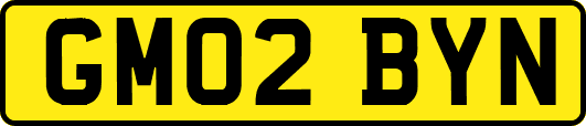 GM02BYN