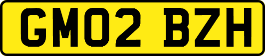 GM02BZH