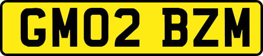 GM02BZM