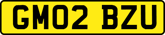 GM02BZU