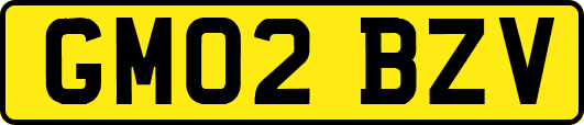 GM02BZV