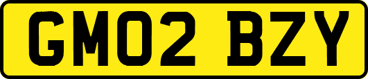 GM02BZY