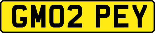 GM02PEY