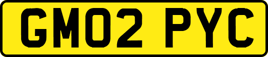 GM02PYC