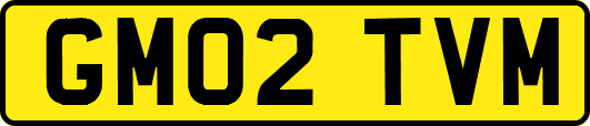 GM02TVM