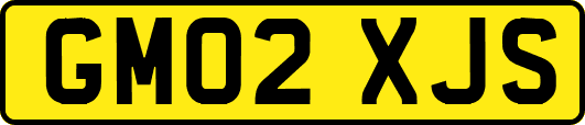 GM02XJS