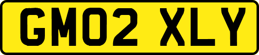 GM02XLY