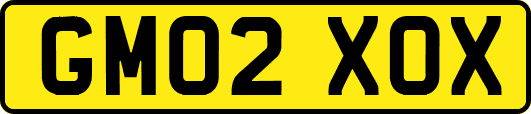 GM02XOX