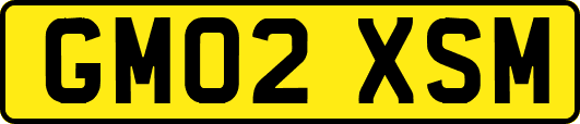 GM02XSM