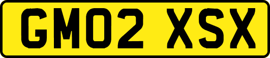 GM02XSX