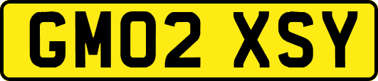 GM02XSY