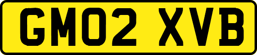 GM02XVB