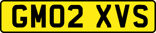 GM02XVS