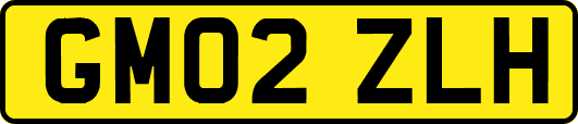 GM02ZLH
