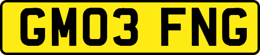 GM03FNG