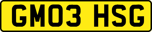 GM03HSG