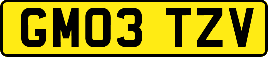 GM03TZV