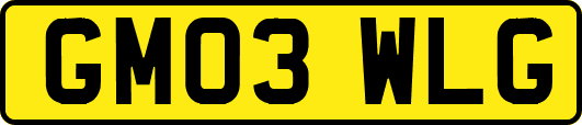 GM03WLG