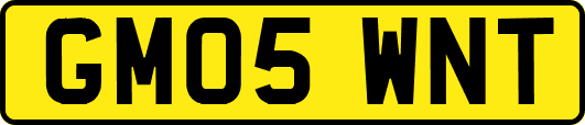 GM05WNT