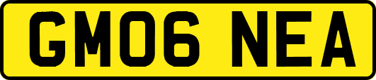 GM06NEA
