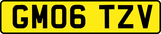 GM06TZV