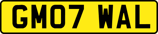 GM07WAL