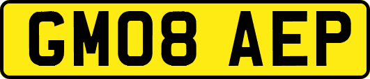 GM08AEP