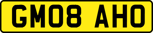 GM08AHO