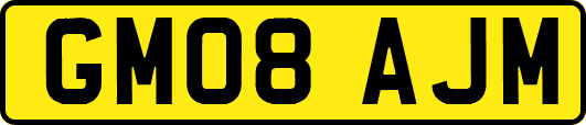 GM08AJM