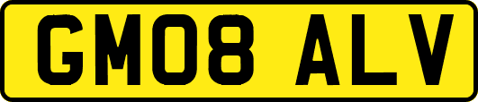 GM08ALV