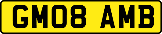 GM08AMB