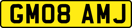GM08AMJ