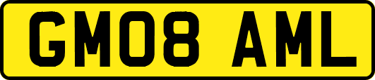 GM08AML