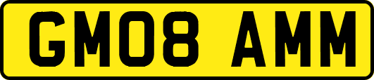 GM08AMM