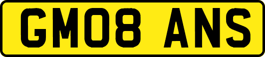 GM08ANS
