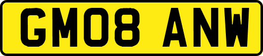 GM08ANW