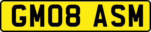 GM08ASM
