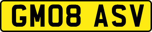 GM08ASV